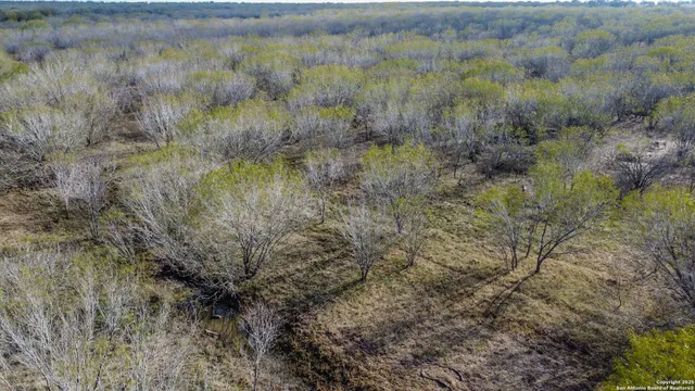 a view of a lake and green valley