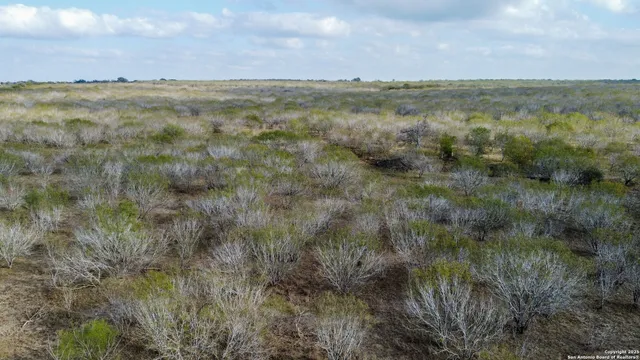 a view of a lake in middle of forest