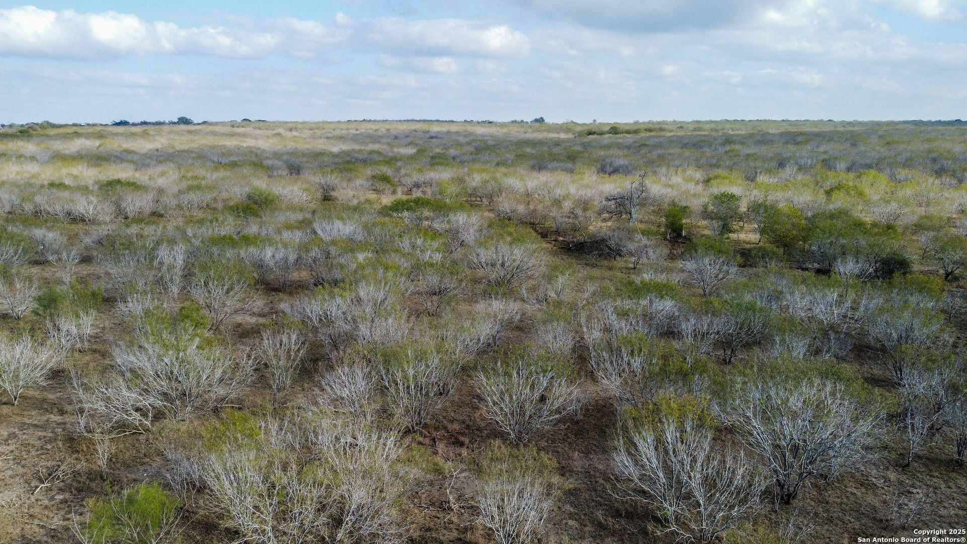 0 Gin Marion, TX 78124 - Photo 9 of 11 a view of a lake in middle of forest