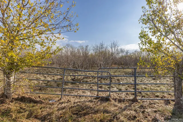 a view of a yard with trees in the background