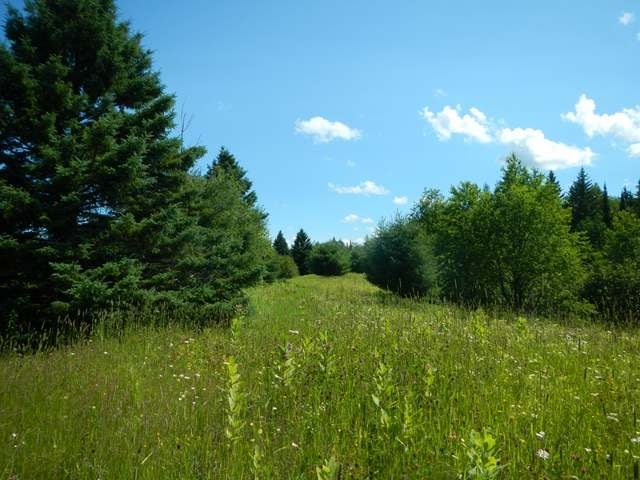 W2621 Goetzke Road Prentice, WI 54556 - Photo 11 of 20 Gallery Image 11