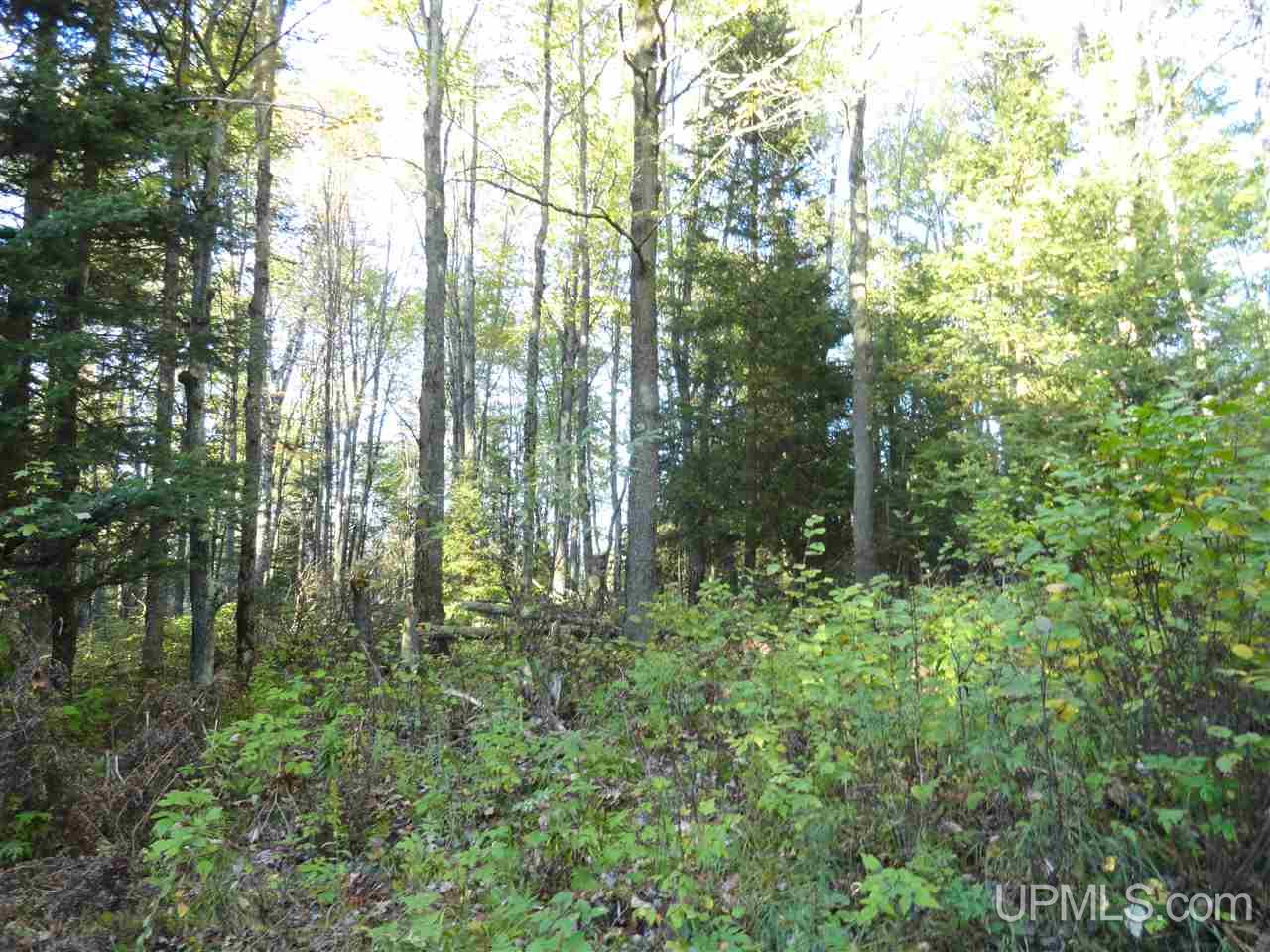 N12885 Newberg Road Channing, MI 49815 - Photo 21 of 33