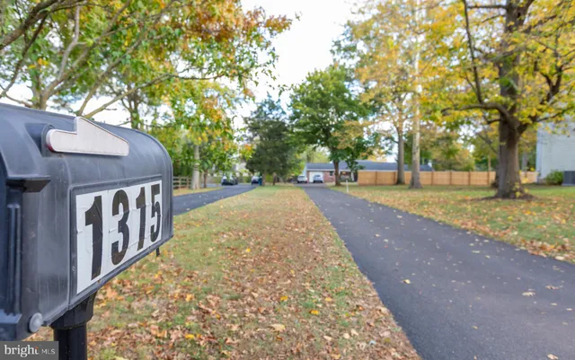 a view of a yard with plants and trees