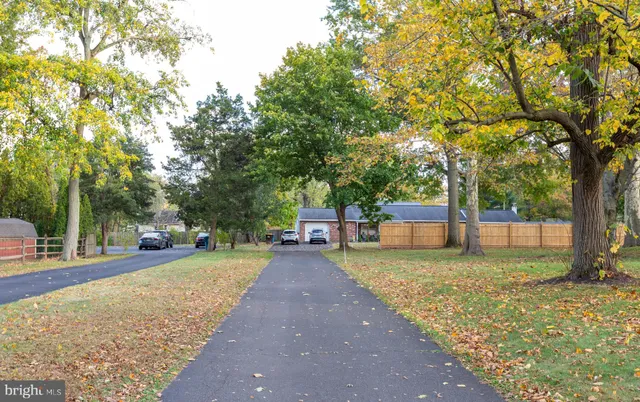 a view of a yard with plants and trees