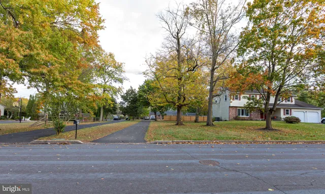 a road view with large trees