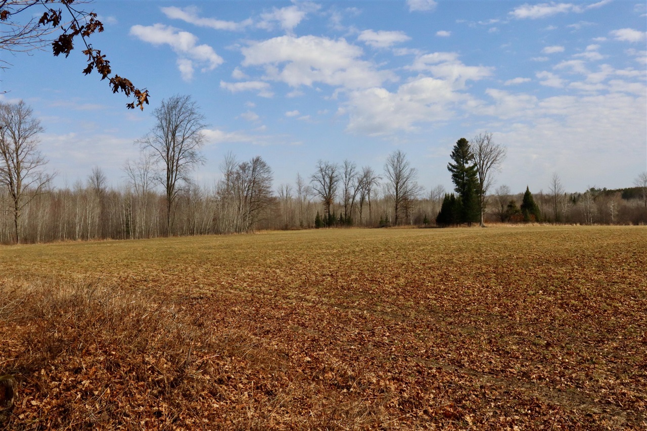 11048 Wilson Road Lake City, MI 49651 - Photo 83 of 89 Gallery Image 83