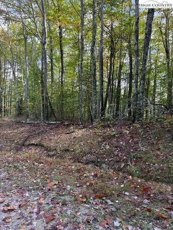 a view of outdoor space and green space