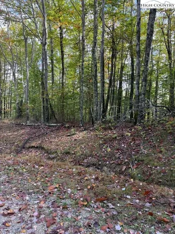 a view of outdoor space and green space