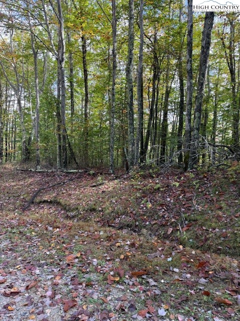 a view of outdoor space and green space