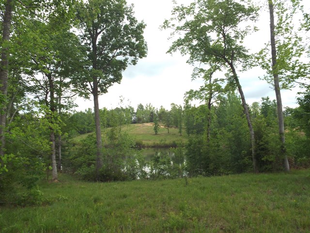 3 Mckee Road Upatoi, GA 31829 - Photo 1 of 2 Main View