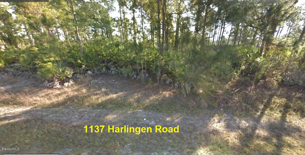 1137 Harlingen Road Southwest Palm Bay, FL 32908 - Photo 2 of 6 Front View = 1137 Harlingen Rd = MLS