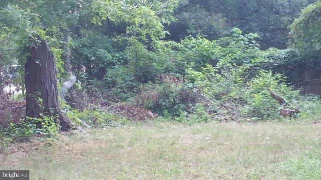 3619 Jermantown Road Fairfax, VA 22030 - Photo 12 of 12 Exterior (General)