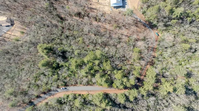 a view of a dry yard with large trees