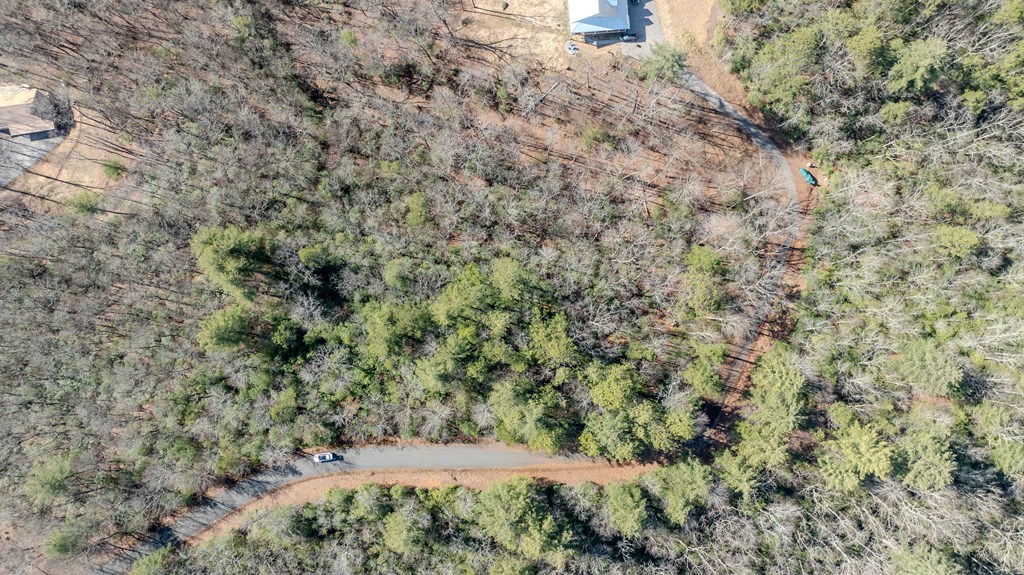 Lot 29 Broadtree Ridge Hayesville, NC 28904 - Photo 5 of 10 a view of a dry yard with large trees