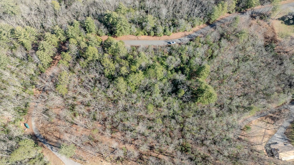 Lot 29 Broadtree Ridge Hayesville, NC 28904 - Photo 6 of 10 a view of a dry yard with green space
