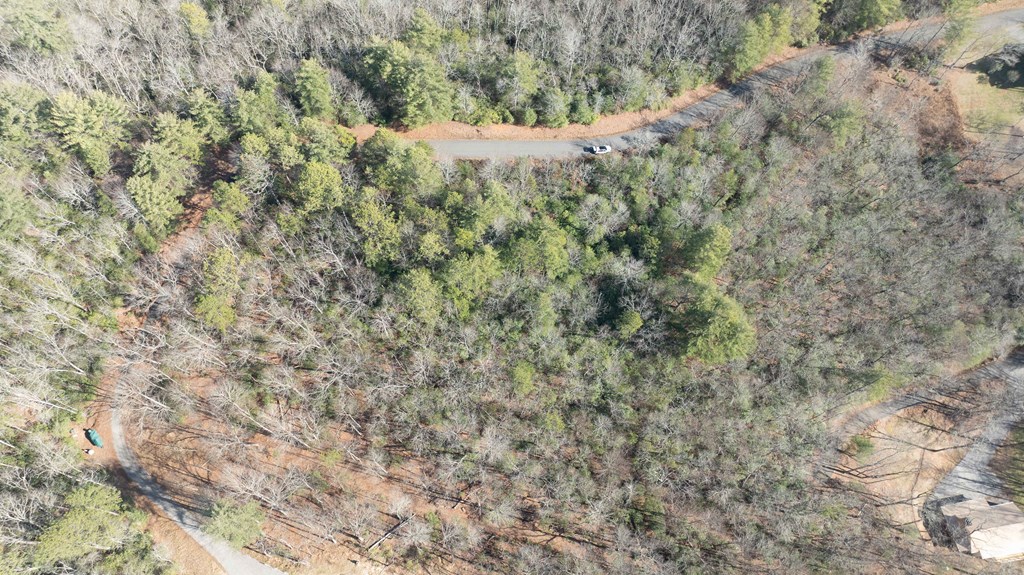 Lot 29 Broadtree Ridge Hayesville, NC 28904 - Photo 7 of 10 a view of a dry yard with green space