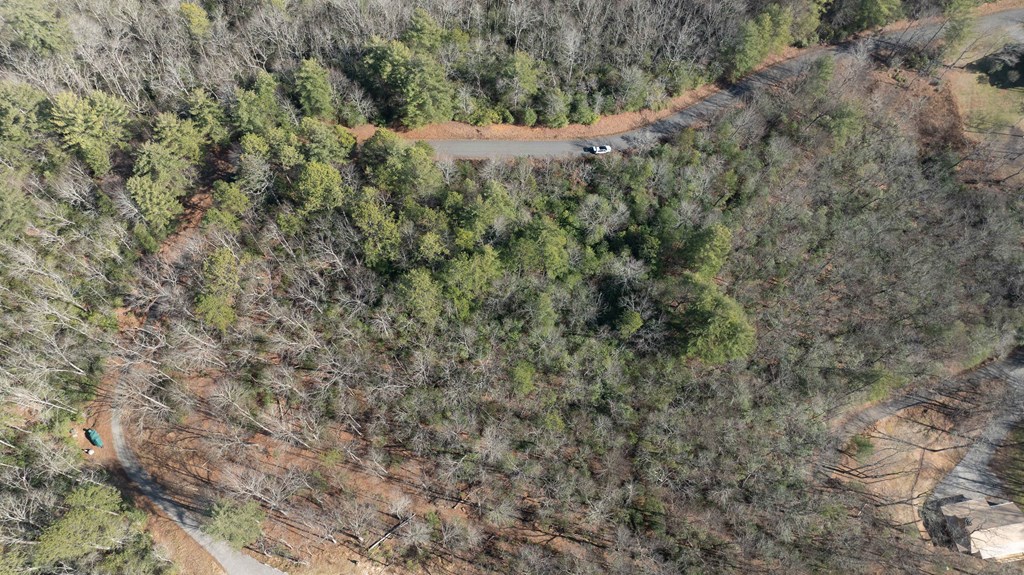 Lot 29 Broadtree Ridge Hayesville, NC 28904 - Photo 8 of 10 a view of a forest with lots of trees