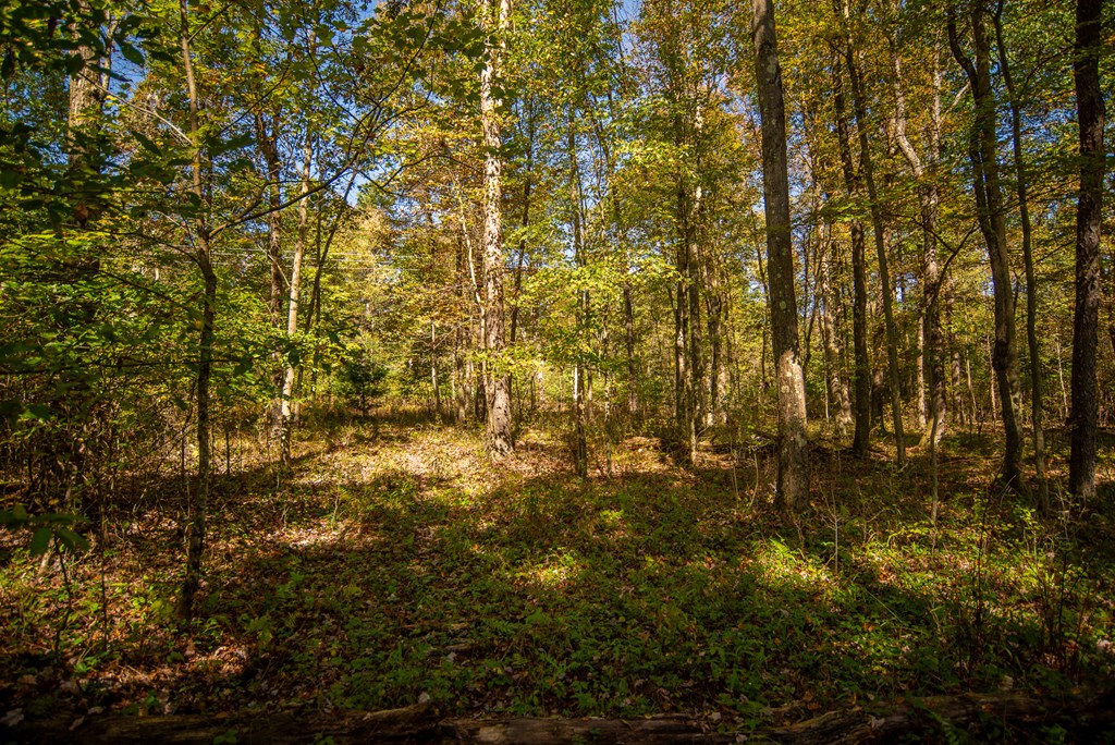 0 County Line Road Venus, PA 16364 - Photo 14 of 30