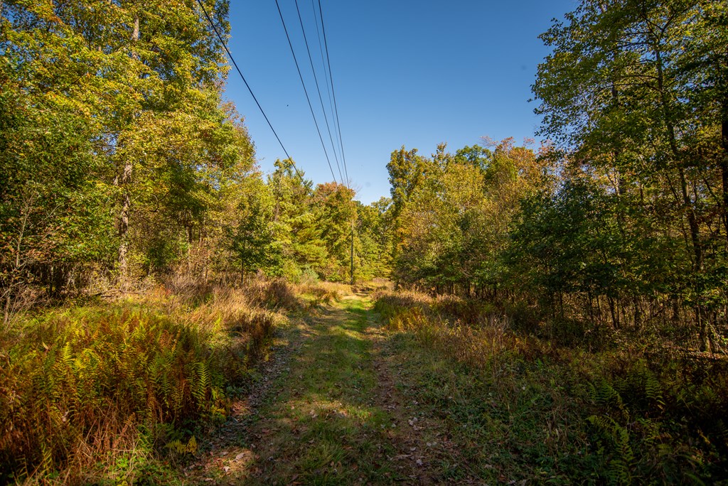 0 County Line Road Venus, PA 16364 - Photo 17 of 30