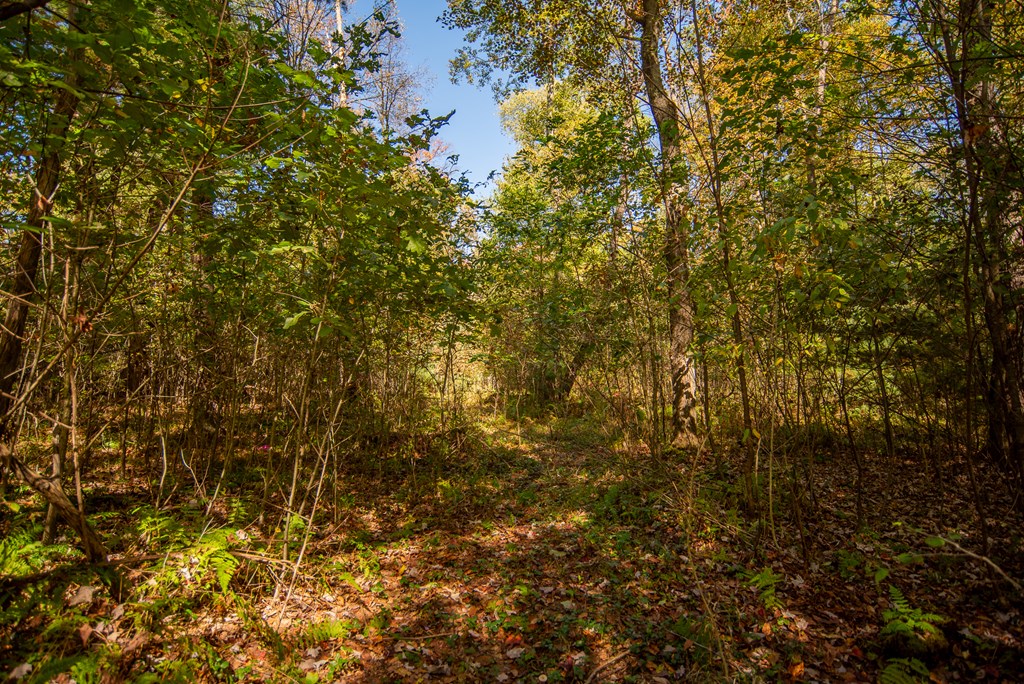 0 County Line Road Venus, PA 16364 - Photo 20 of 30