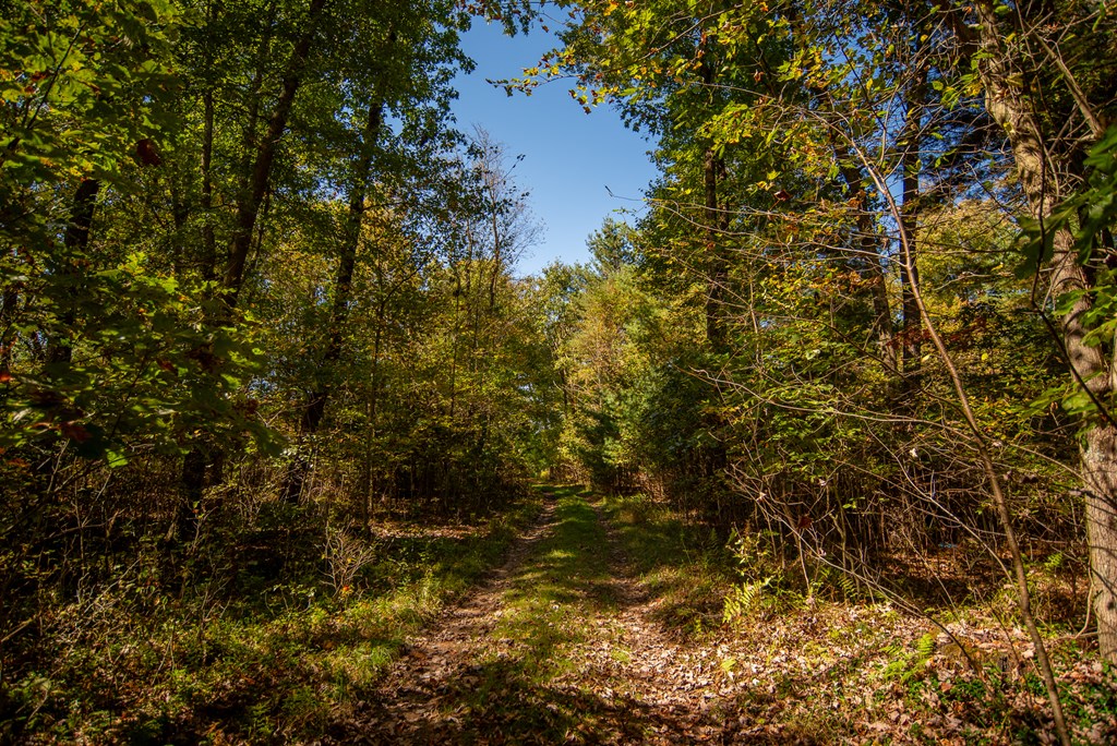 0 County Line Road Venus, PA 16364 - Photo 4 of 30