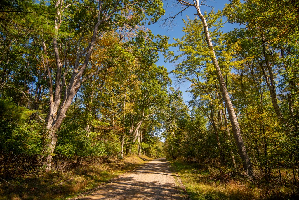 0 County Line Road Venus, PA 16364 - Photo 7 of 30