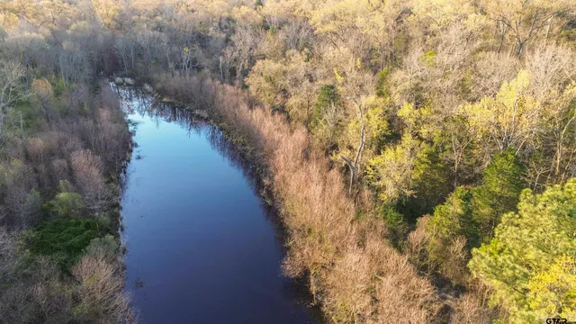 a view of a lake in middle of forest