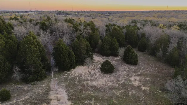 a view of a backyard with green space