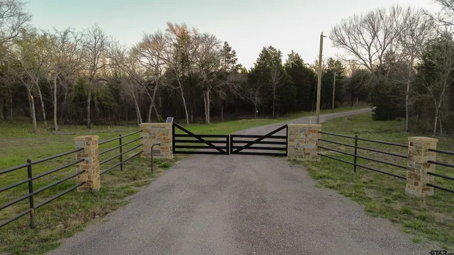 a view of a park with large trees