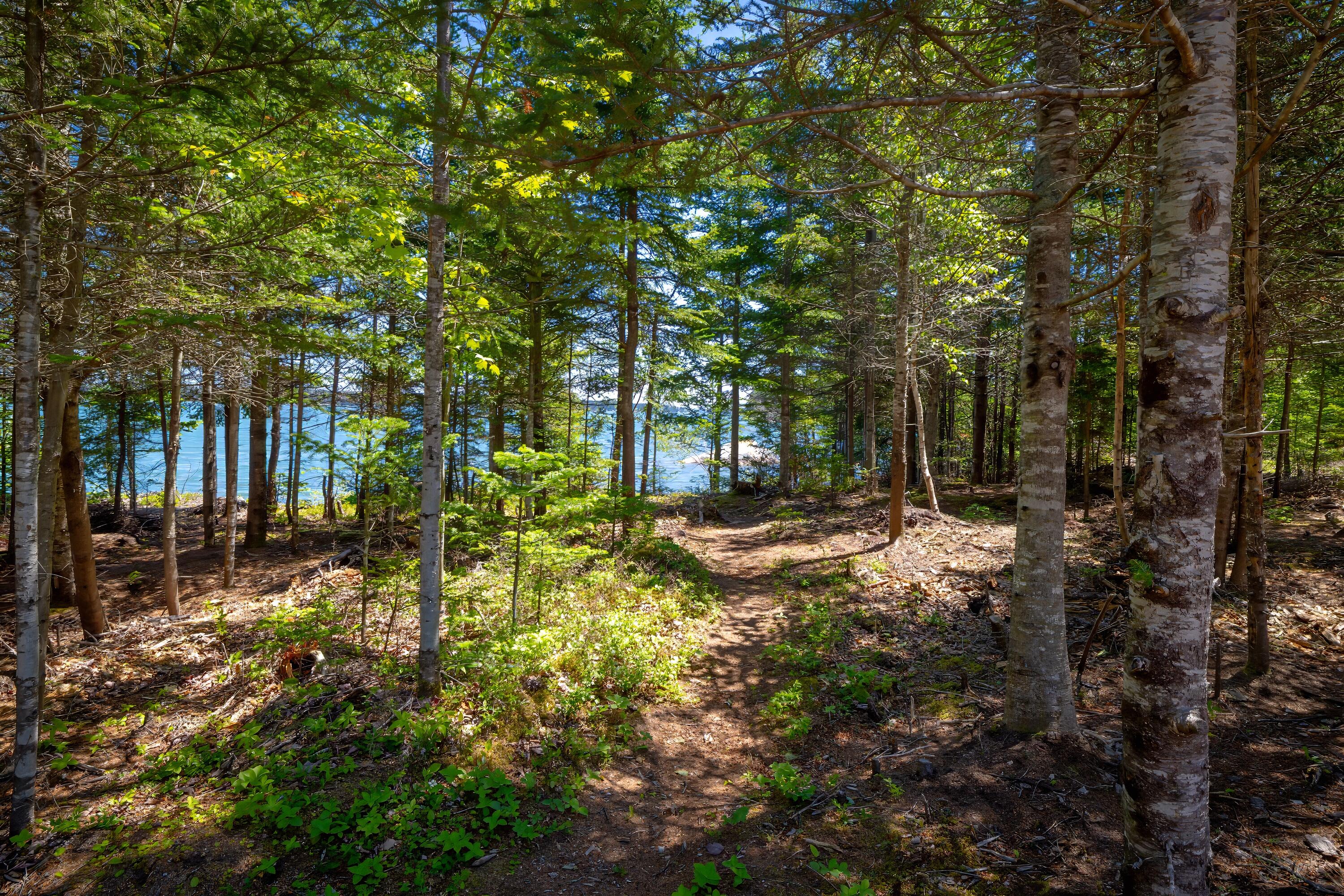 3 Cove Road Steuben, ME 04680 - Photo 35 of 42 33-3 Cove Road-DTP