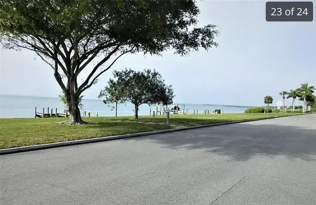 a view of a street with a large trees