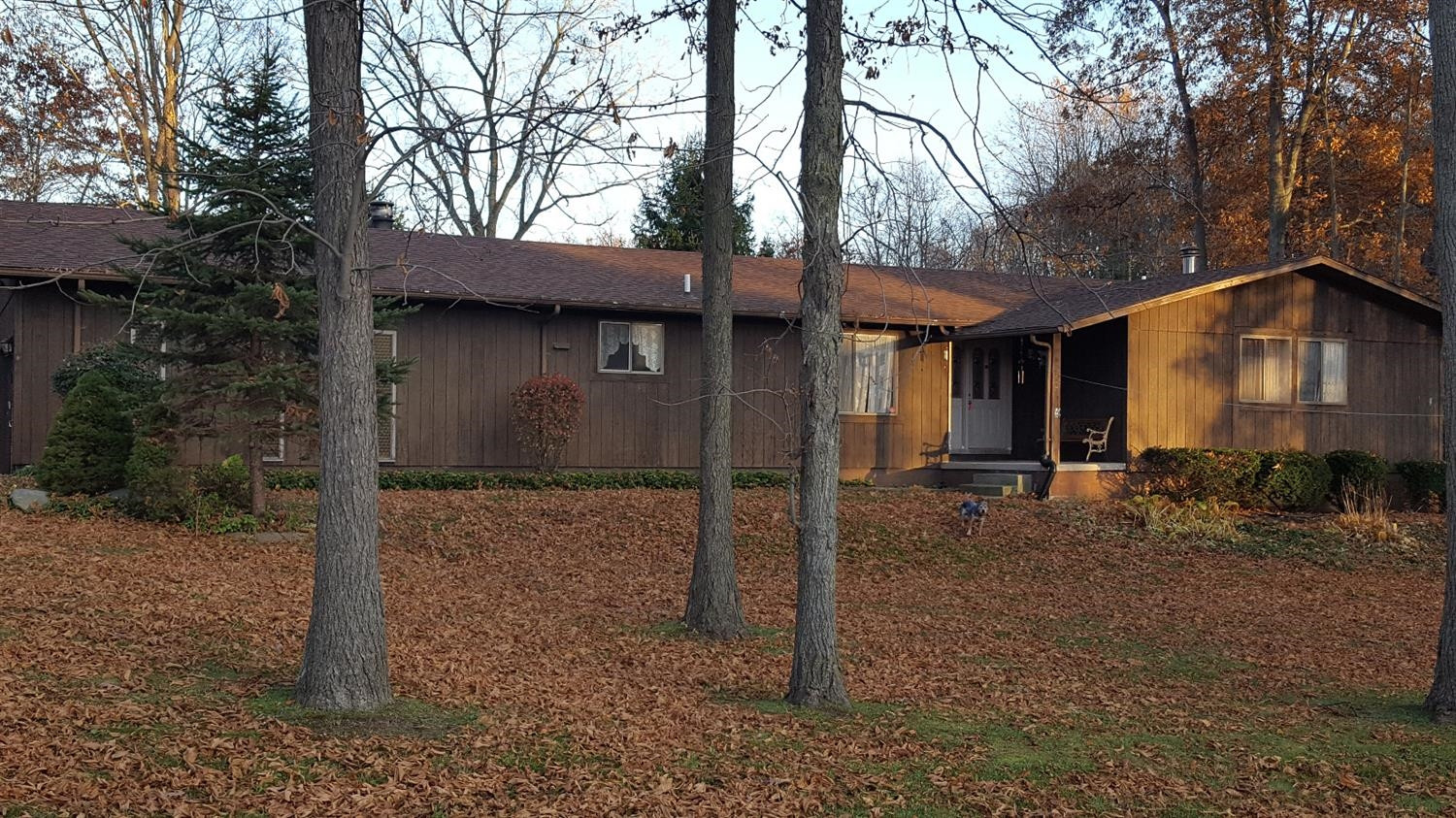 4555 Kalmbach Road Chelsea, MI 48118 - Photo 2 of 9 Photo 2