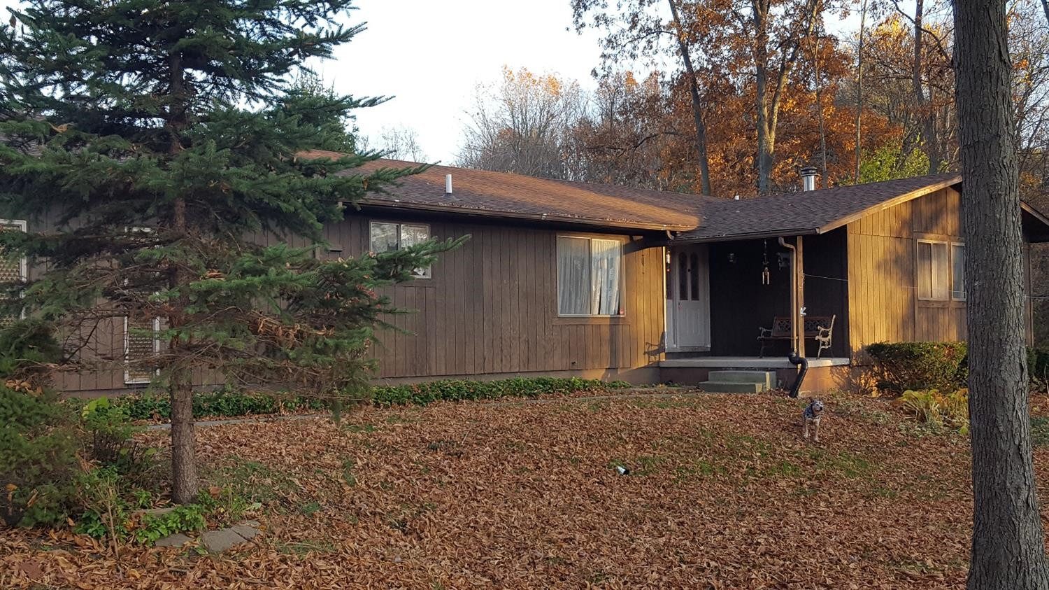 4555 Kalmbach Road Chelsea, MI 48118 - Photo 3 of 9 Photo 3