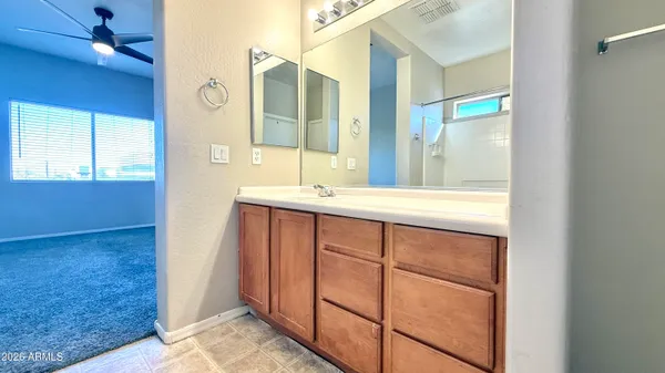 a bathroom with a sink a mirror and a shower
