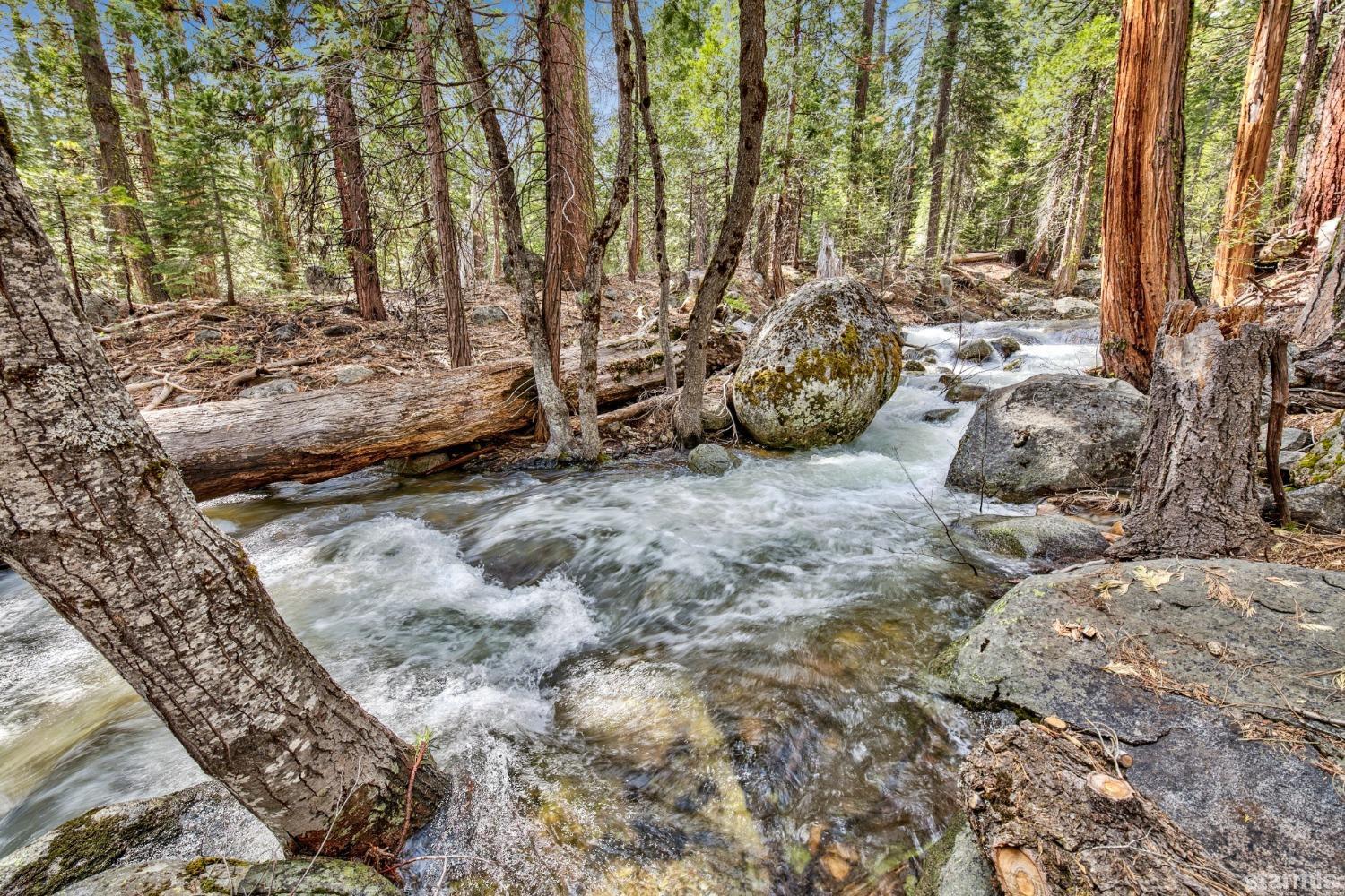 39 Milestone Road, Unit 32 Kyburz, CA 95720 - Photo 2 of 21 a view of outdoor space and tree
