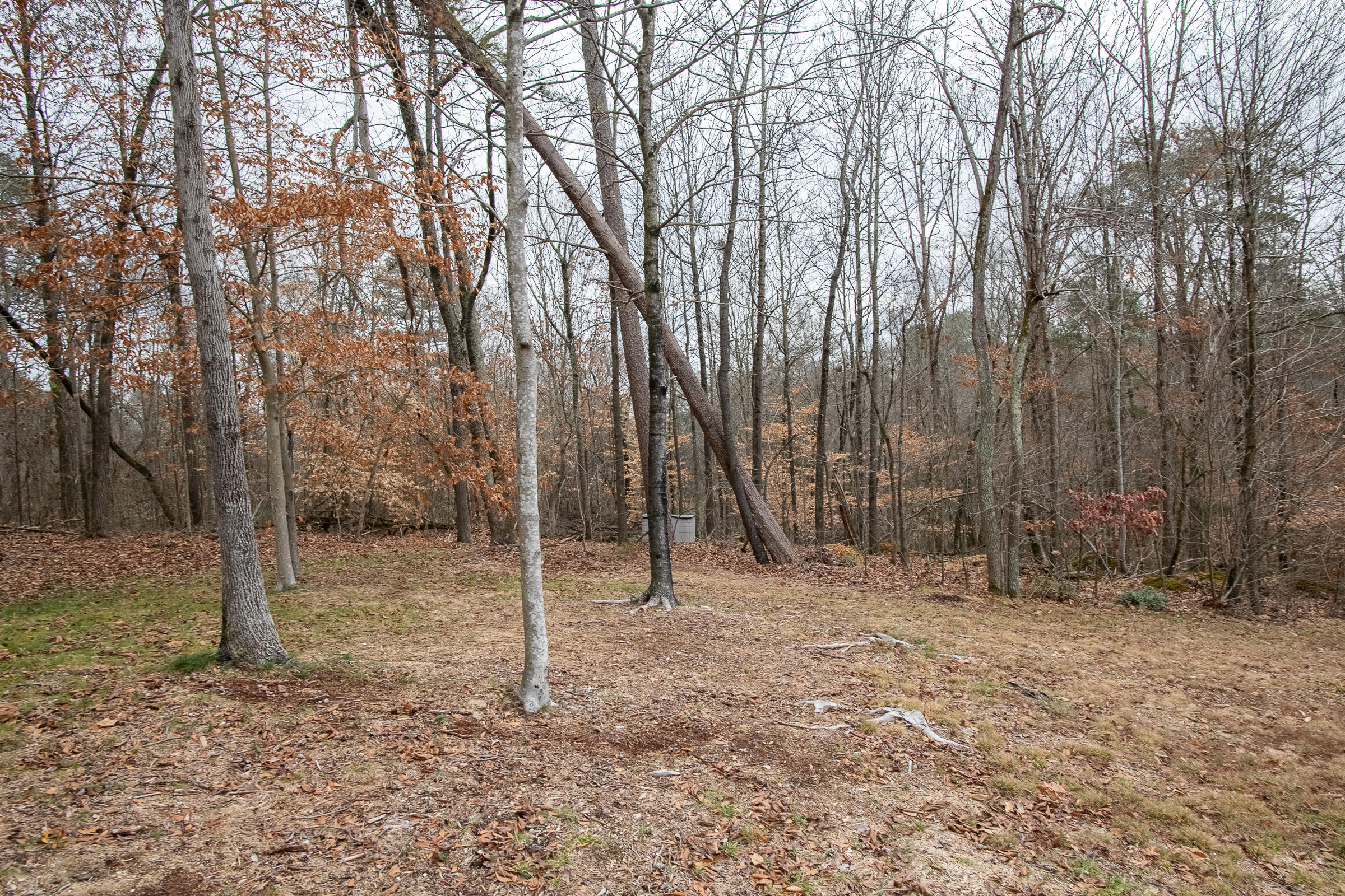 6520 Sandswitch Road Hixson, TN 37343 - Photo 27 of 29 Sandswitchh-25