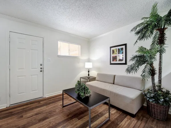 a living room with furniture and a potted plant