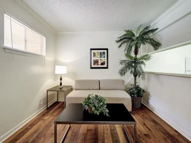 a living room with furniture potted plant and a lamp