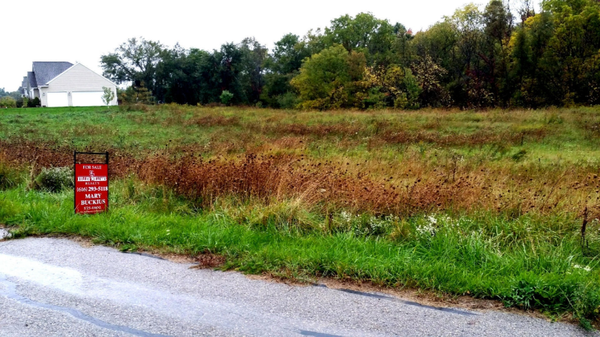 0 Rivendell Farms Road Lowell, MI 49331 - Photo 1 of 1 2014-10-16 11