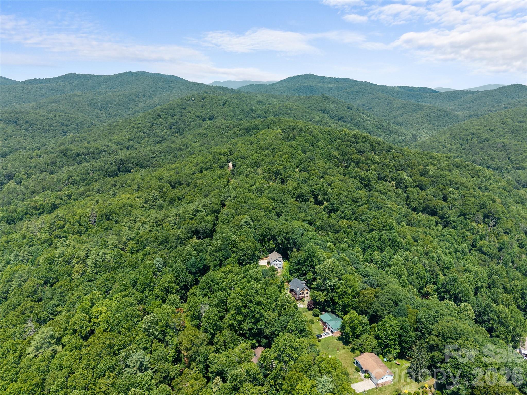 323 Burrell Mountain Road Brevard, NC 28712 - Photo 28 of 28