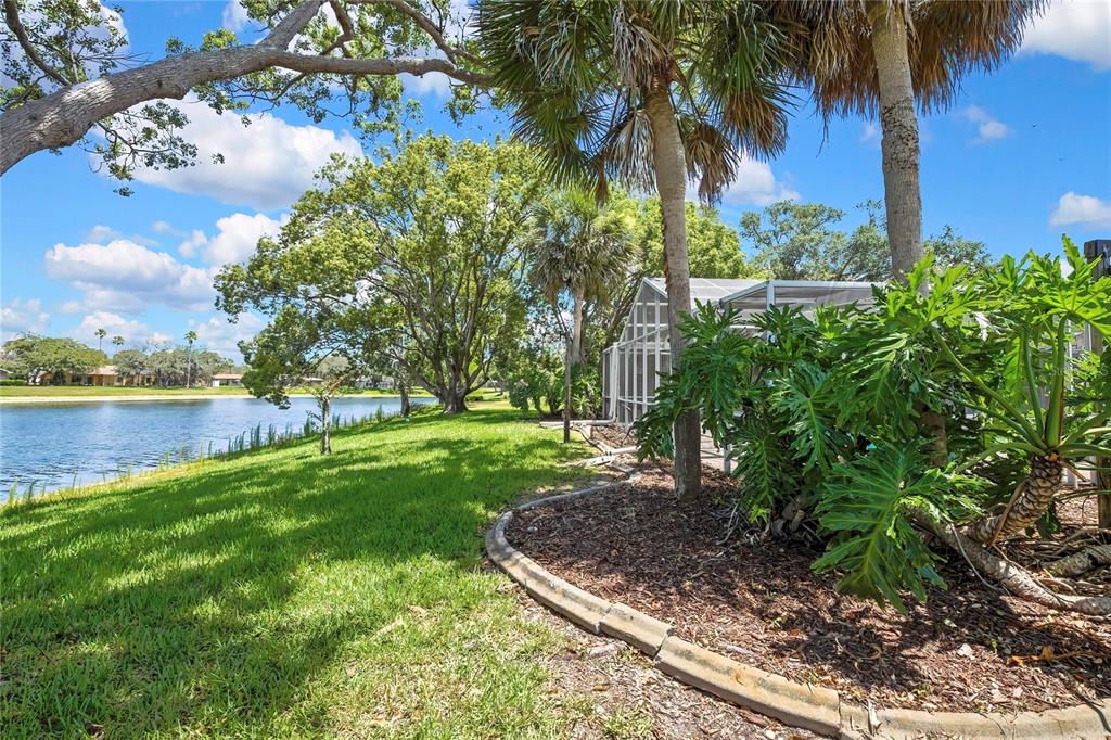 4293 River Birch Drive Spring Hill, FL 34607 - Photo 62 of 79