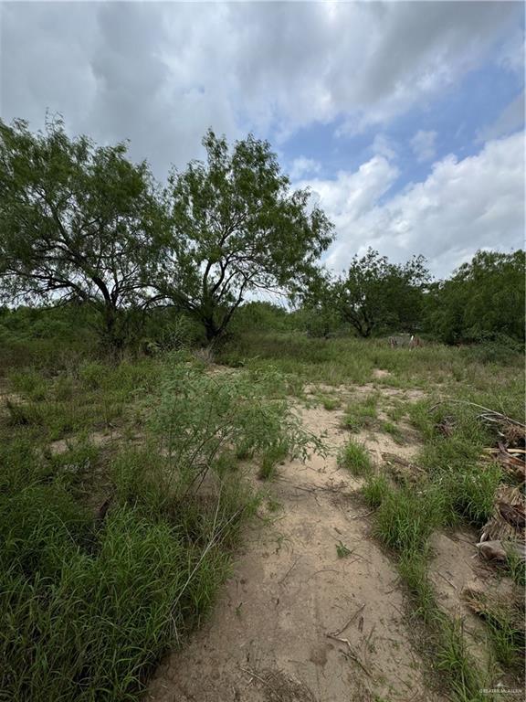 11235 North Moorefield Road Mission, TX 78574 - Photo 18 of 22 a view of a field with an trees