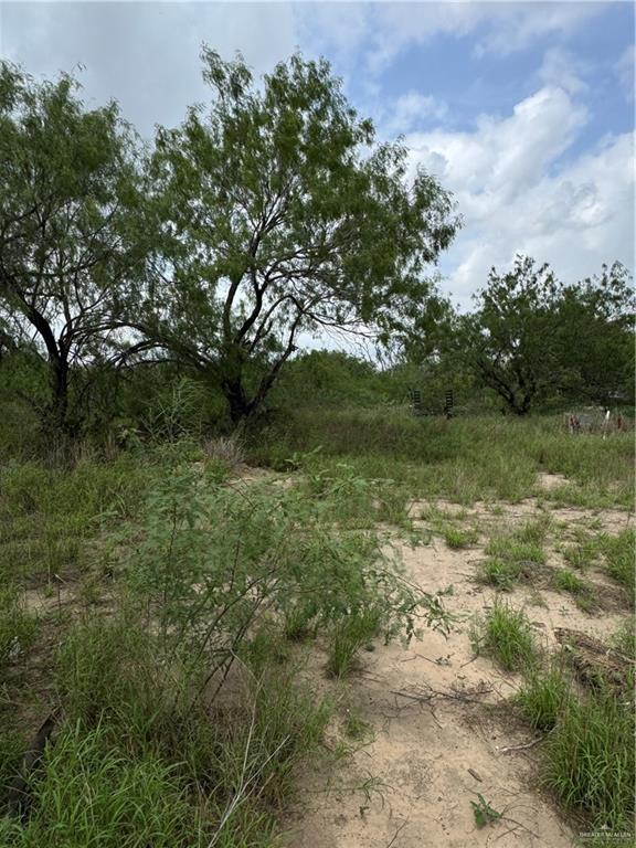 11235 North Moorefield Road Mission, TX 78574 - Photo 20 of 22 a view of a lush green space