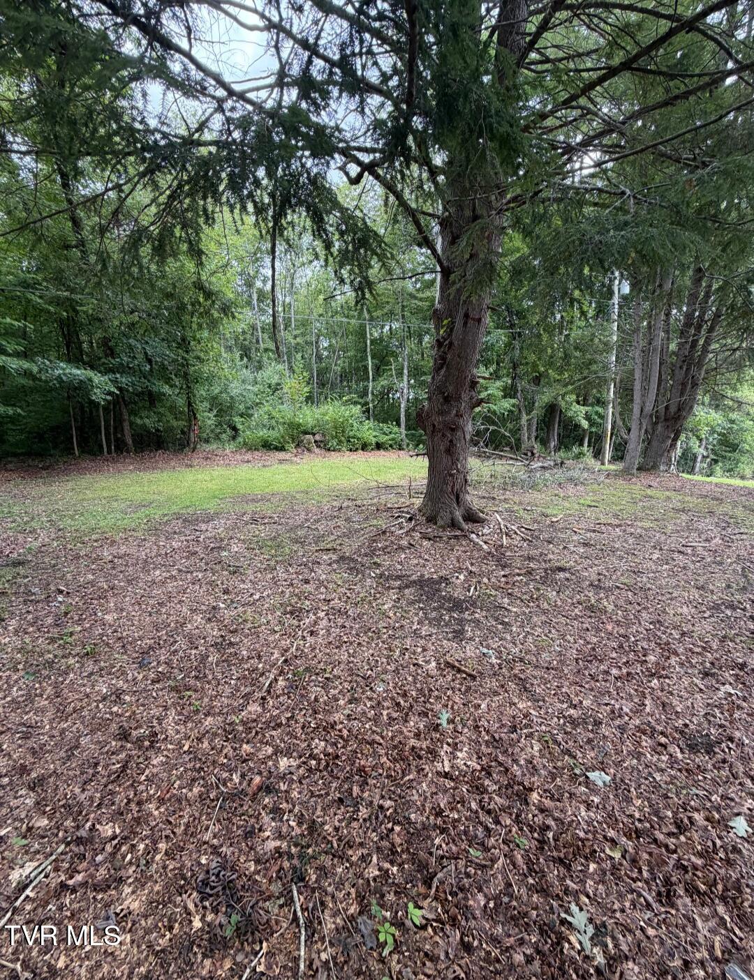 0 Paramont Road Wise, VA 24293 - Photo 12 of 12 8615