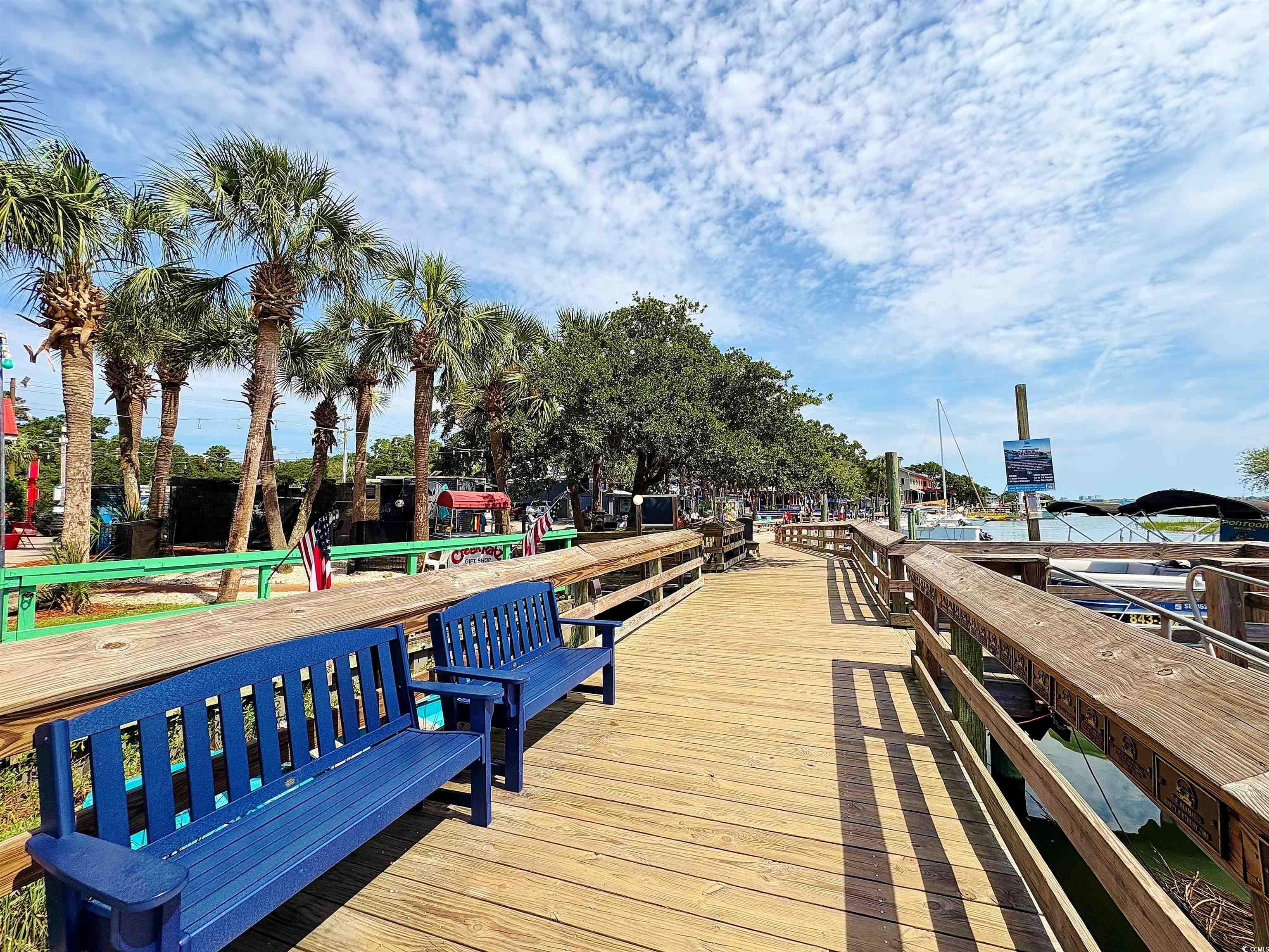 64 Summerlight Drive Murrells Inlet, SC 29576 - Photo 37 of 40