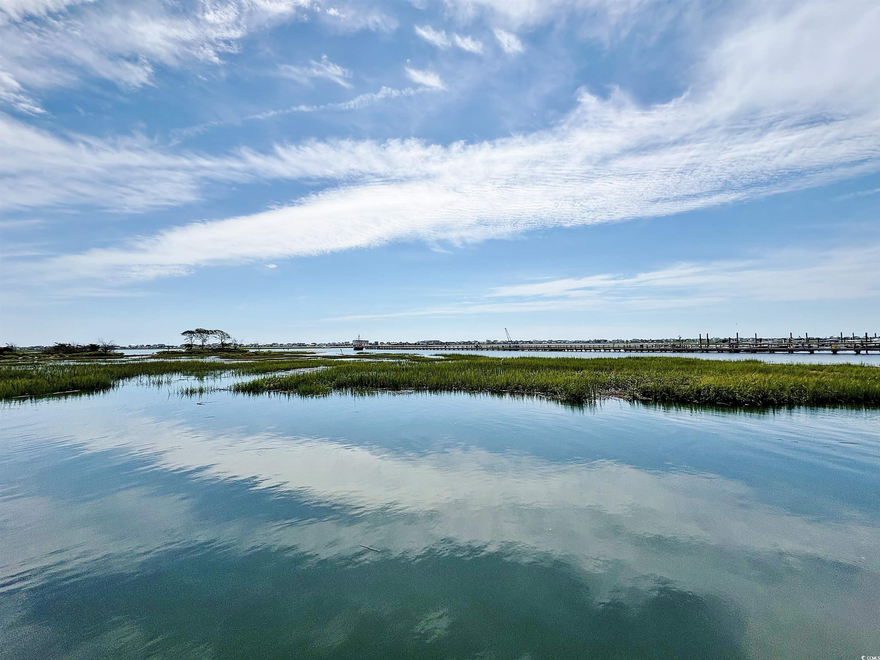 64 Summerlight Drive Murrells Inlet, SC 29576 - Photo 40 of 40