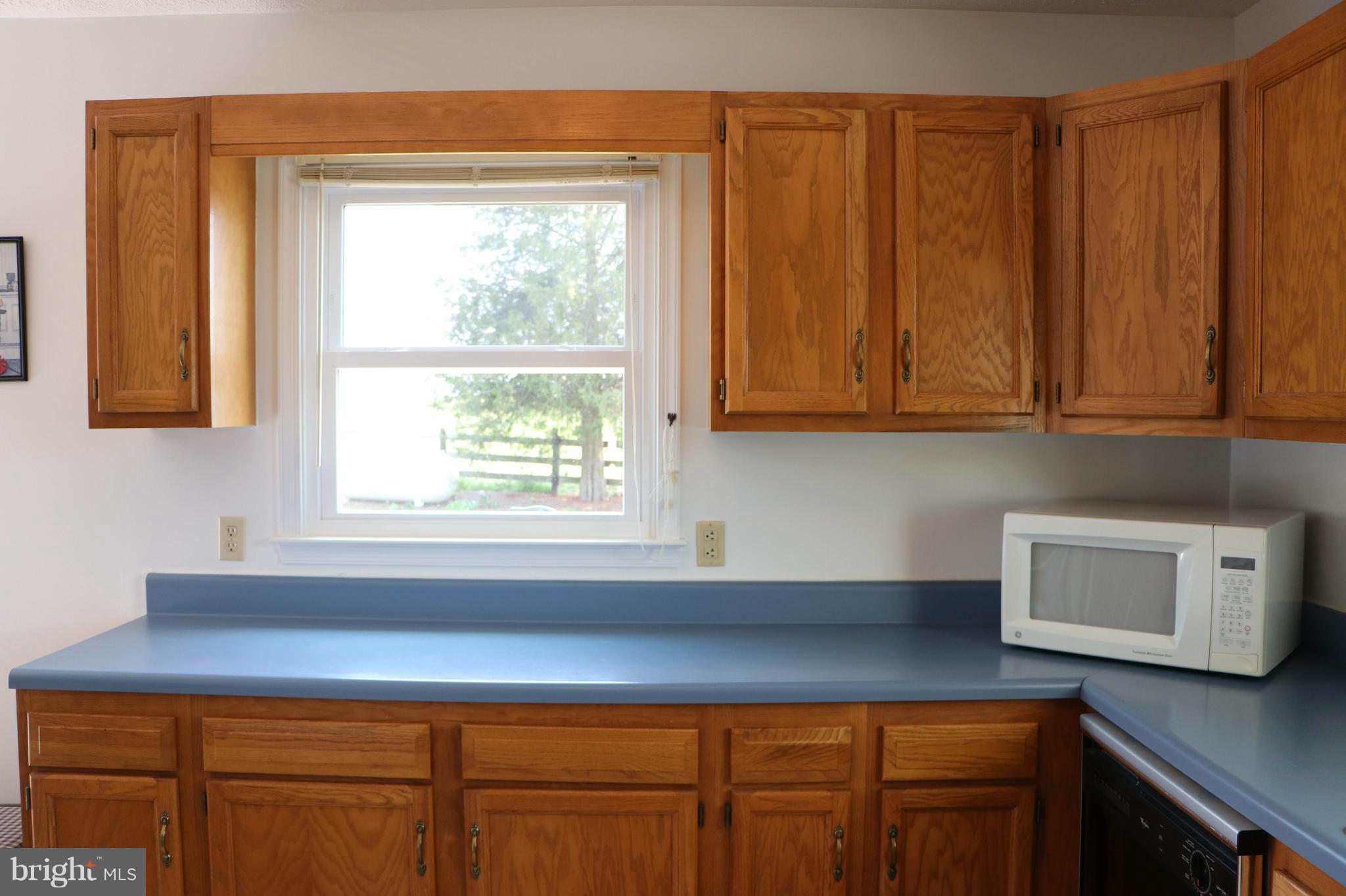 11550 Walters Road Orange, VA 22960 - Photo 10 of 24 Kitchen