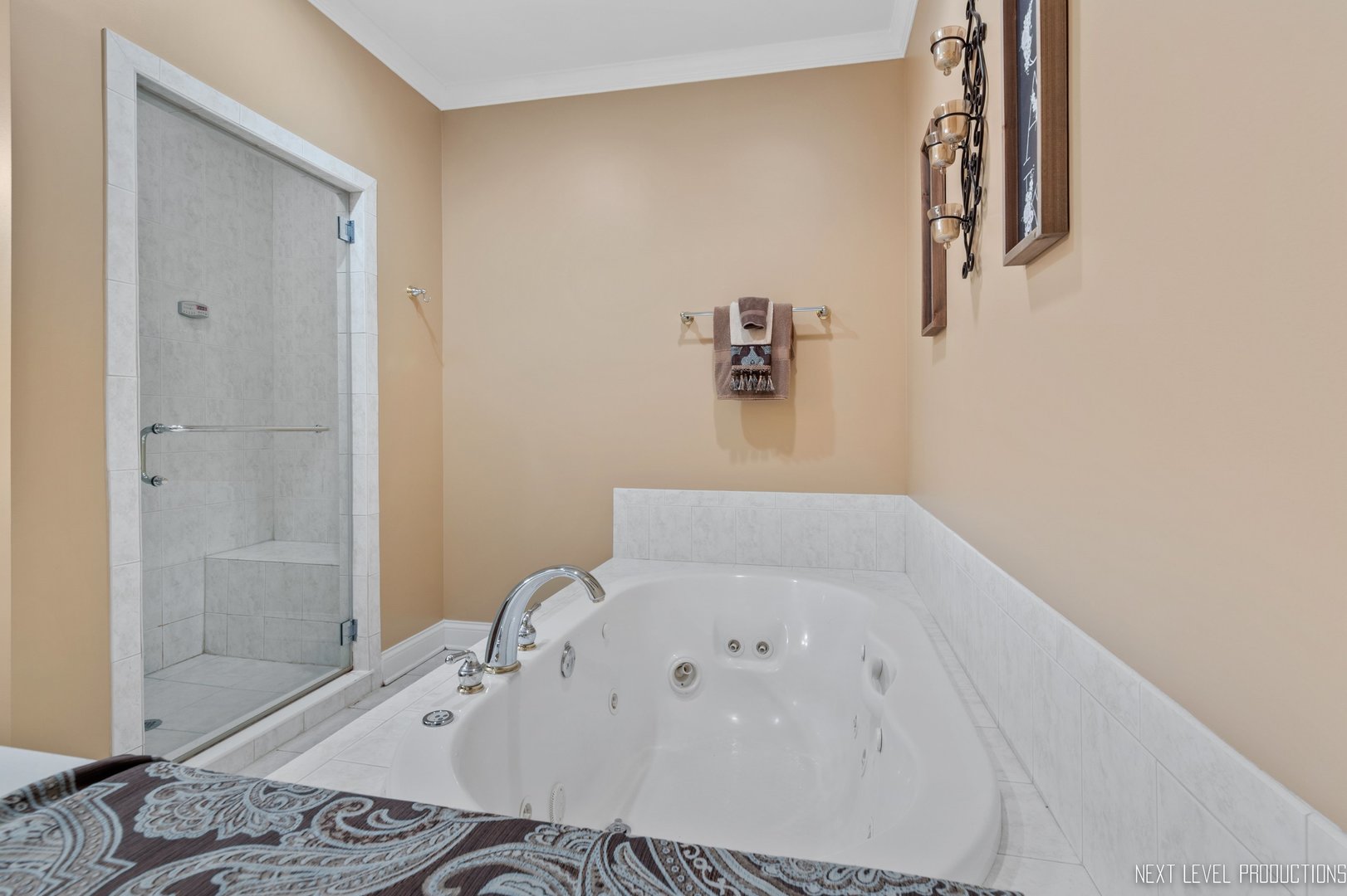 1787 Rizzi Lane Bartlett, IL 60103 - Photo 36 of 47 a bathroom with a bathtub