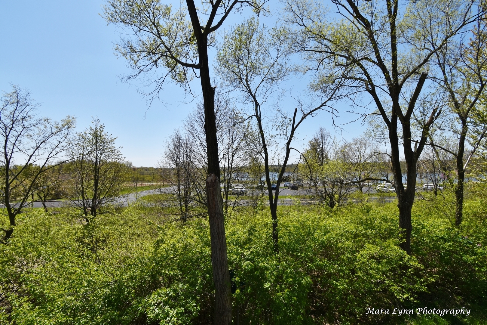 1787 Rizzi Lane Bartlett, IL 60103 - Photo 47 of 47 a backyard of a house with lots of green space