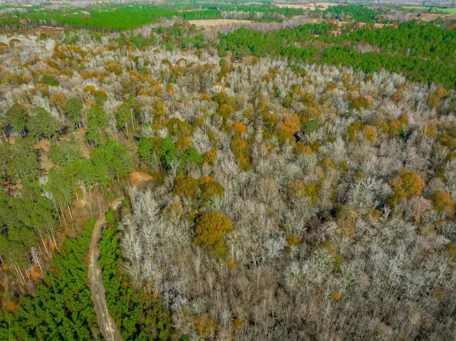 $5,015,330 | 0 Mckays Bridge Road, Little Rock, SC 29567